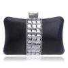 Luxurious Acrylic Evening Handbags Clutch - Image 2