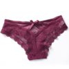 Sexy Transparent Low-waist Hollow Out Panties - Image 4
