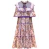 Fashion Designer Lace Embroidery Ruffles Vintage Party Dress - Image 6