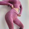 Seamless Tummy Control Fitness Leggings
