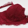 Sexy Lace Bra Panties 4 Piece Set - Image 2