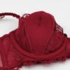Sexy Lace Bra Panties 4 Piece Set - Image 4
