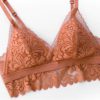 Sexy Lace Bra No Wire Underwear Bra Set and Panties - Image 2