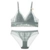 Sexy Lace Bra No Wire Underwear Bra Set and Panties - Image 5