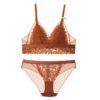 Sexy Lace Bra No Wire Underwear Bra Set and Panties - Image 6
