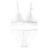Sexy Lace Bra No Wire Underwear Bra Set and Panties - Image 7