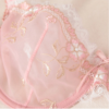 Sexy transparent lingerie lace embroidery thin bra set - Image 13