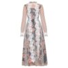 Transparent Long Sleeve Patchwork Print Embroidery Dresses
