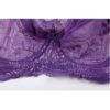 Full Coverage Jacquard Non Padded Lace Sheer Underwire Bra - Image 11