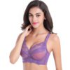 Full Coverage Jacquard Non Padded Lace Sheer Underwire Bra - Image 5