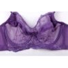 Full Coverage Jacquard Non Padded Lace Sheer Underwire Bra - Image 9