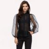 Transparent Turn Down Collar Long Puff Sleeve Blouse