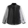 Transparent Turn Down Collar Long Puff Sleeve Blouse - Image 5