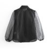 Transparent Turn Down Collar Long Puff Sleeve Blouse - Image 6