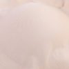 Wireless Breathable Soft Yoga Sports Thin High Elastic Comfort Bra - Image 2
