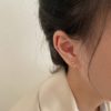 Five-piece Zircon Earrings Temperament Versatile Exquisite Jewelry - Image 10