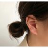 Five-piece Zircon Earrings Temperament Versatile Exquisite Jewelry - Image 3