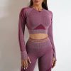 Long-Sleeved Beauty Shockproof Seamless Back Crop Fitness Workout Bra