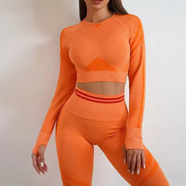 Long-Sleeved Beauty Shockproof Seamless Back Crop Fitness Workout Bra - Image 6