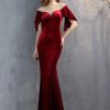 Luxury Velvet See Through Mesh Maxi Long Dresses - Image 16
