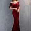 Luxury Velvet See Through Mesh Maxi Long Dresses - Image 13